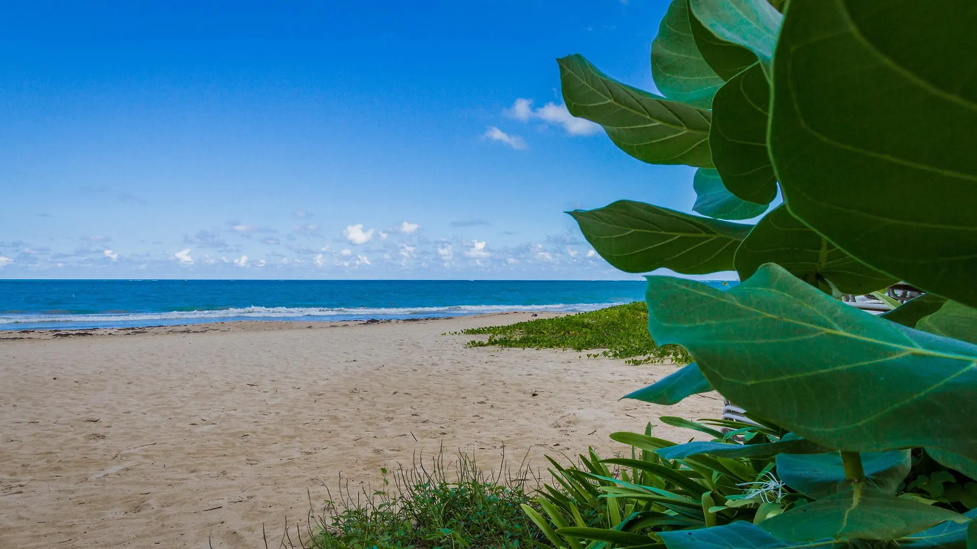 Tryp By Wyndham Isla Verde San Juan Hotel